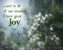 and-in-all-of-our-troubles-I-have-great-joy.-2-Cor.-7-AnExtraordinaryDay.net_