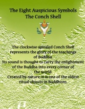 conch shell symbolism